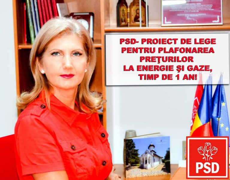 Deputatul PSD, Cristina Elena Dinu: „PNL şi USR, terminaţi odată cu scandalul şi faceţi ce aţi promis pentru România!”