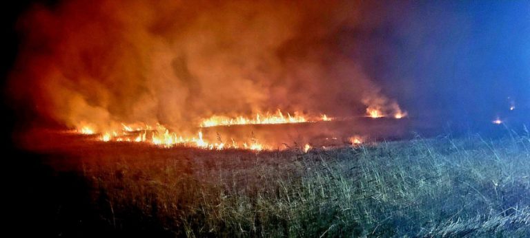 Incendiile de vegetație, o obișnuință pe meleaguri giurgiuvene. Trei hectare au ars, miercuri seara, în localitatea Daia