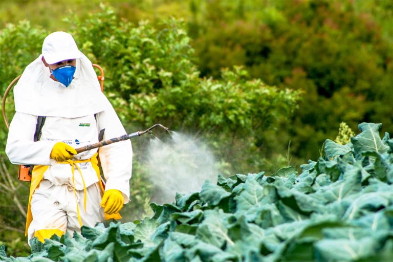Dan MOTREANU: „Este nevoie de finanțare suplimentară pentru a susține fermierii în tranziția către o agricultură mai durabilă…”