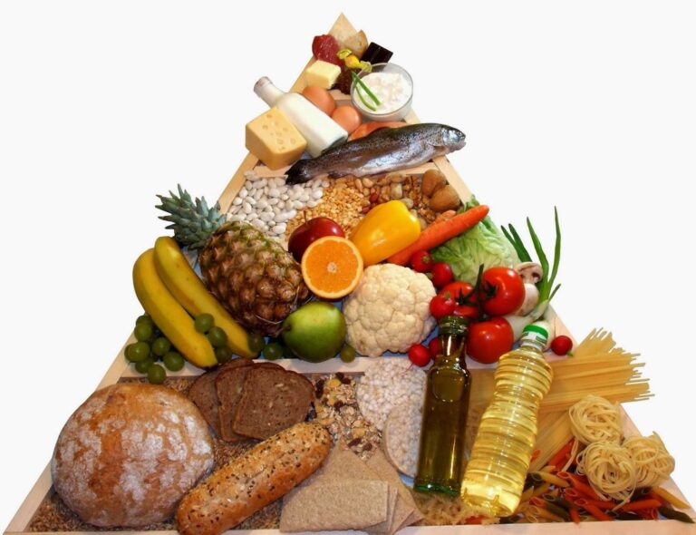 16 octombrie- Ziua Mondială a ALIMENTAȚIEI: ” Orice produs, într-o anumită cantitate este aliment, dar în altă cantitate poate fi OTRAVĂ!