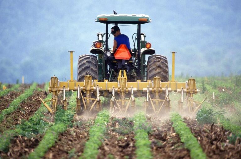 Dan MOTREANU: „Fermierii care vor cultiva 7% din teren fără pesticide vor beneficia în continuare de fonduri UE”