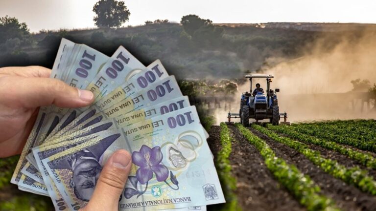 Vești bune pentru fermierii români: Noi ajutoare financiare disponibile din ianuarie 2025