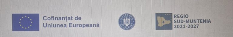 Anunț de presă de început 