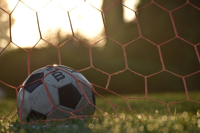 FOTBAL – Liga III-a. În meci de verificare, SCM Dunărea 2020 Giurgiu va juca, sâmbătă, în deplasare, cu Dunărea 2005 Călărași