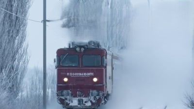 Cu câteva ore în urmă o femeie a decedat după ce a fost lovită de un tren pe linia ferată din imediata apropiere a Poliției Locale Giurgiu. Nu avea decât 52 de ani…