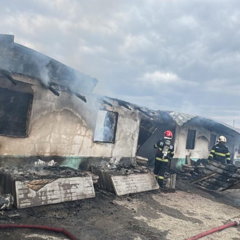 Incendiul izbucnit. vineri după amiază, la o fermă din comuna Ulmi, a pus în pericol animalele din adăpost