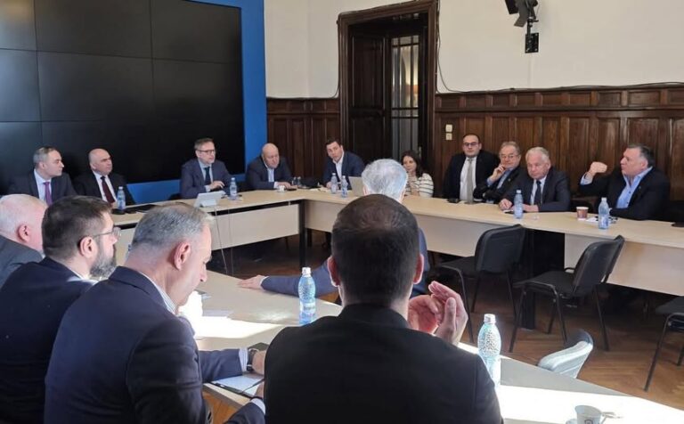 Senator Gabriela HORGA: „Partidul Naţional Liberal susține proiectul de buget pregătit de Guvernul Ilie Bolojan, deoarece a fost elaborat în mod onest, pe baza unor estimări realiste ale veniturilor și cheltuielilor.”