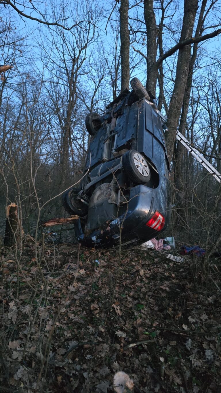 Accident auto astăzi după amiază între localitățile Sfântu Gheorghe și Cartojani, în județul Giurgiu. Autoturismul s-a oprit în pădurea de pe marginea drumului, într-o poziție ciudată!