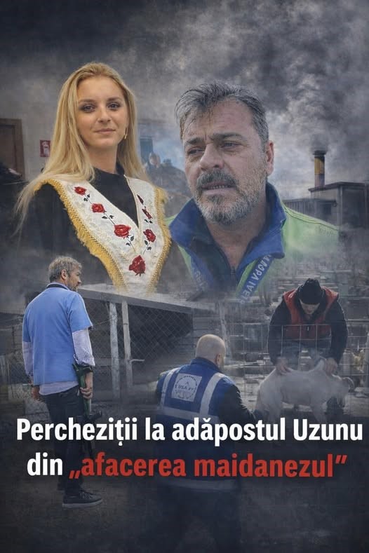 Adăpostul de câini din UZUNU, sub anchetă! „Rețeaua Istrate se clatină: primele rețineri în dosarul care ar fi golit bugetele primăriilor”