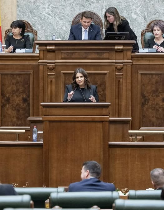 Senator Gabriela HORGA: „Sorin Grindeanu a devenit expert. Nu în economie, ci în știri false!”