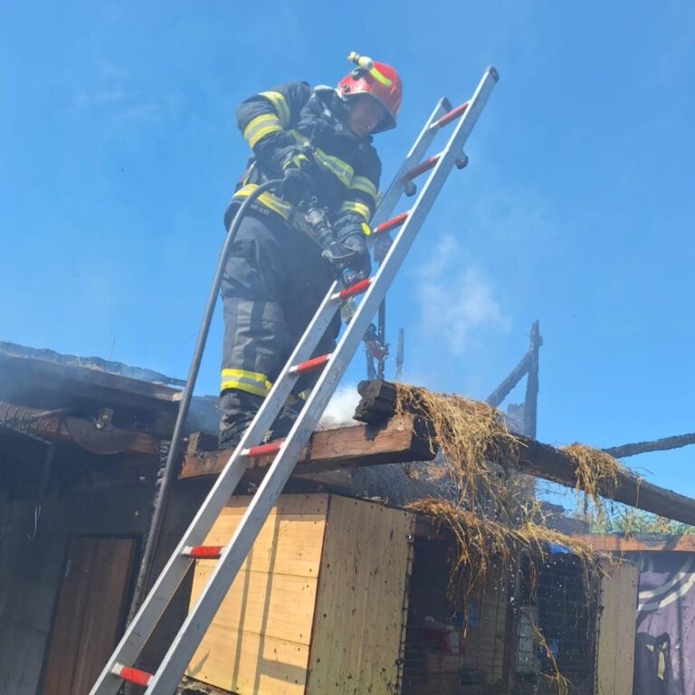 Flăcările, la un pas de a produce o tragedie în localitatea Gorneni! O anexă plină cu furaje și cereale a ars violent…