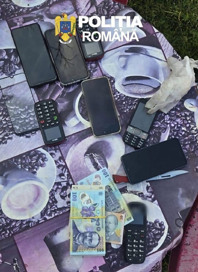 Lovitură a polițiștilor în Gogoșari! Percheziții după furtul a 1.000 de litri de motorină. Au fost găsiți bani, un autoturism, plase de pescuit interzise și câini nemicrocipați