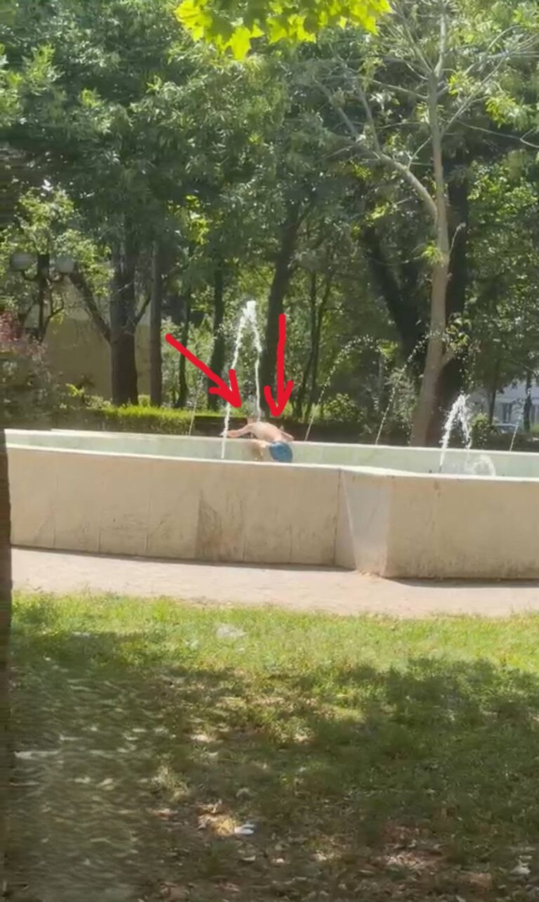 Fântâna arteziană din Parcul Tipografiei, în municipiul Giurgiu,  transformată de copii în ștrand! Un oraș civilizat este definit  de modul în care locuitorii aleg să îl protejeze!
