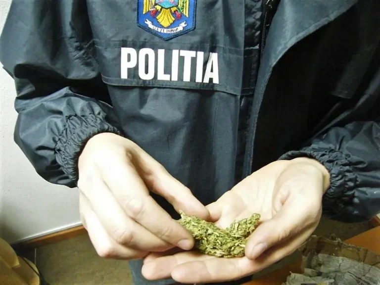 Fenomenul pe care MAI îl recunoaște, dar îl ascunde în spatele cifrelor: De ce este secret de stat procentul polițiștilor consumatori de droguri?