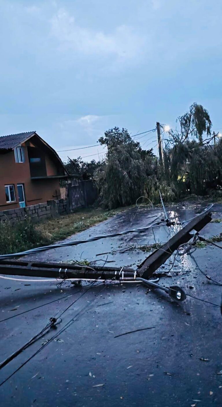 Furtuna de marți seară a făcut prăpăd în județul Giurgiu: copaci căzuți peste mașini, drumuri blocate și gospodării inundate. Orașul a scăpat ca prin minune…