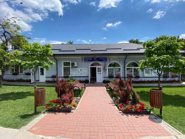 Comuna Daia merge înainte! Primăria localității și primarul Florin Șerban investesc în drumuri, curățenie și confortul oamenilor