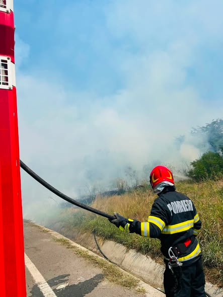 ALERTĂ LA FRĂTEȘTI! Șapte hectare au fost mistuite de flăcări, iar fumul a ajuns până pe DN5.