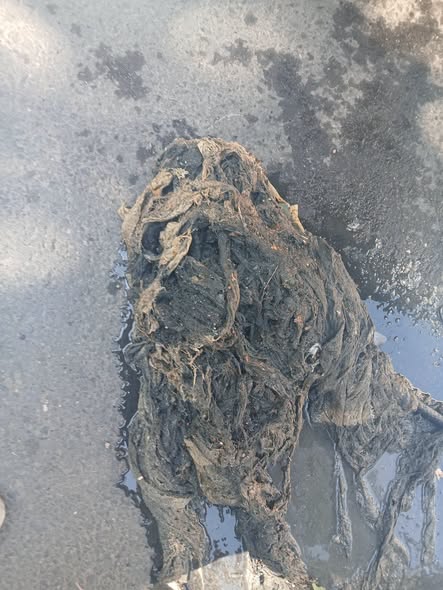 Apa Service SA Giurgiu: NU așa trebuie să arate CANALIZAREA!