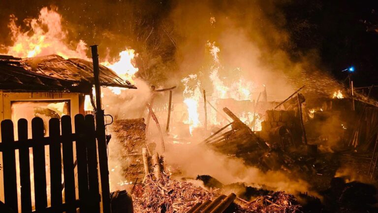 O noapte de coșmar la Neajlovu, în comuna Clejani! Flăcările au mistuit o gospodărie, iar 59 de animale au pierit în chinuri. O familie a rămas cu agoniseala făcută scrum!