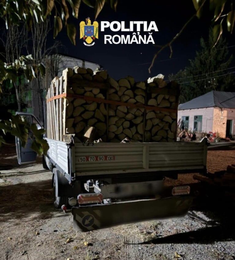 Șoferul unui camion încărcat cu lemne a încercat să-i păcălească pe polițiști cu acte suspecte! Șoferul s-a ales cu o amendă usturătoare…