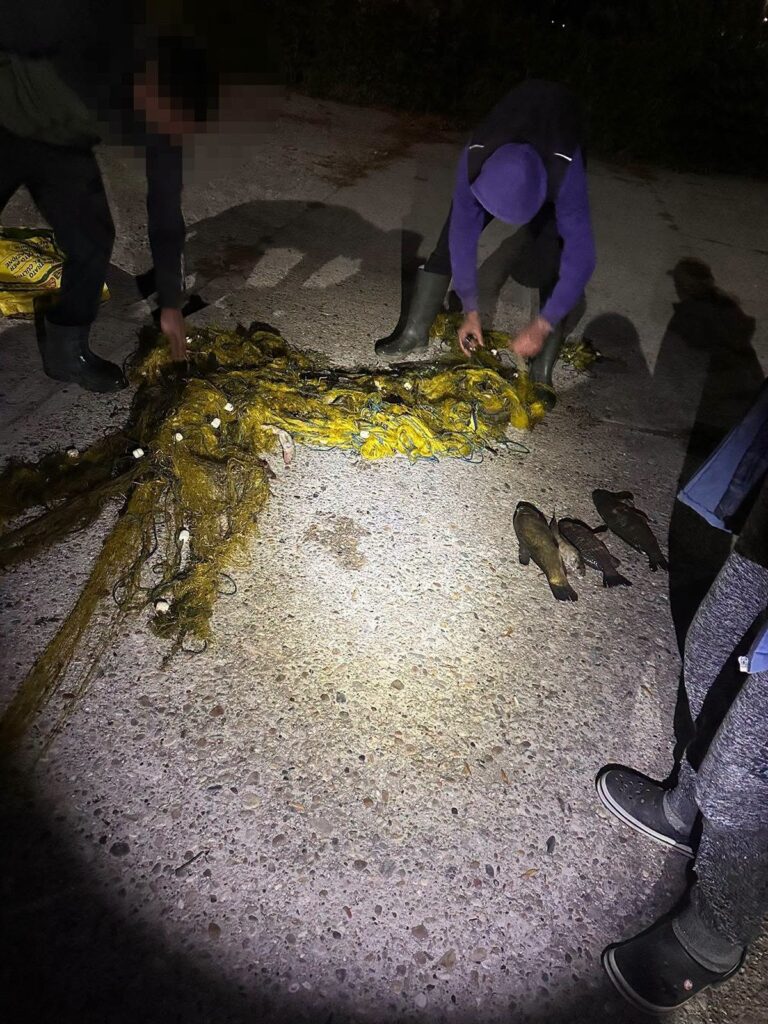 Operațiune ca-n filme a polițiștilor din Inspectoratul de Frontieră Giurgiu! Braconierii, urmăriți în infraroșu și prinși cu plasele pline. Peste 70 de kilograme de pește și 320 de metri de plase, confiscate!
