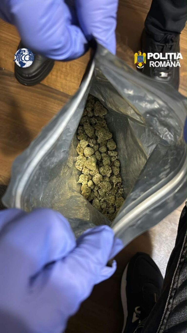 ALERTĂ NAȚIONALĂ! Giurgiuveanul Cătălin Țone lansează un avertisment dur privind dezincriminarea drogurilor: „Vreți să amendați drogurile ca trecerea pe roșu?”